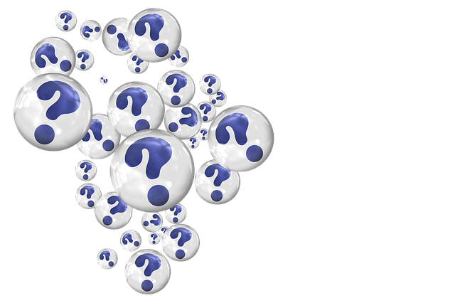 question sur le seo